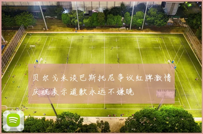 贝尔戈米谈巴斯托尼争议红牌激情庆祝表示道歉永远不嫌晚